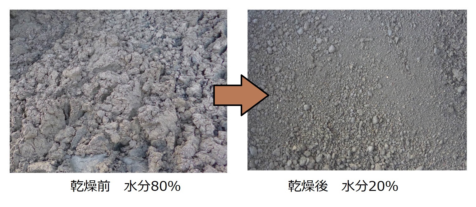 汚泥乾燥機 乾燥物